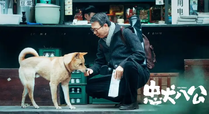 以色列怎么看欧洲杯直播示例